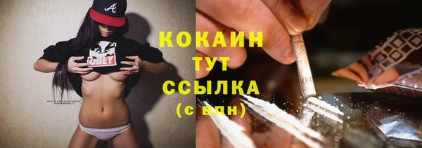 стаф Арсеньев