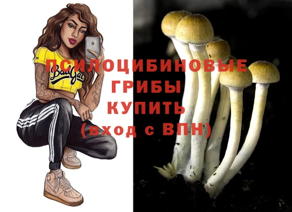 соль ск Аркадак