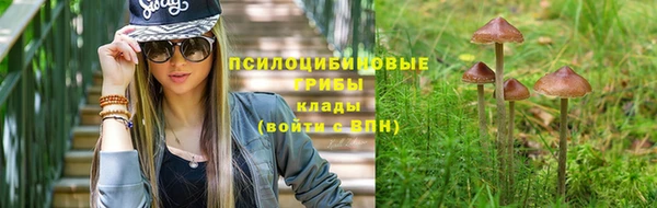 соль ск Аркадак