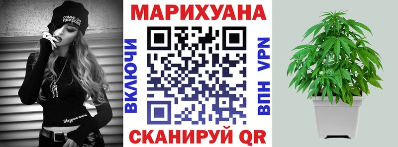 закладка Голицыно Марихуана сатива